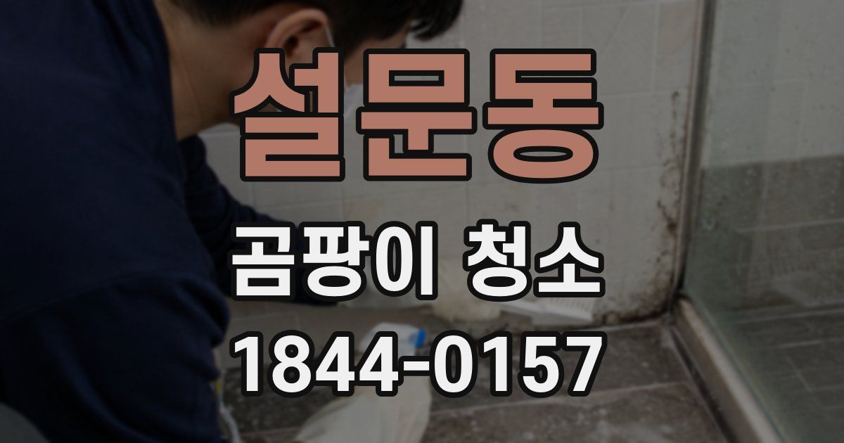 설문동 곰팡이 청소