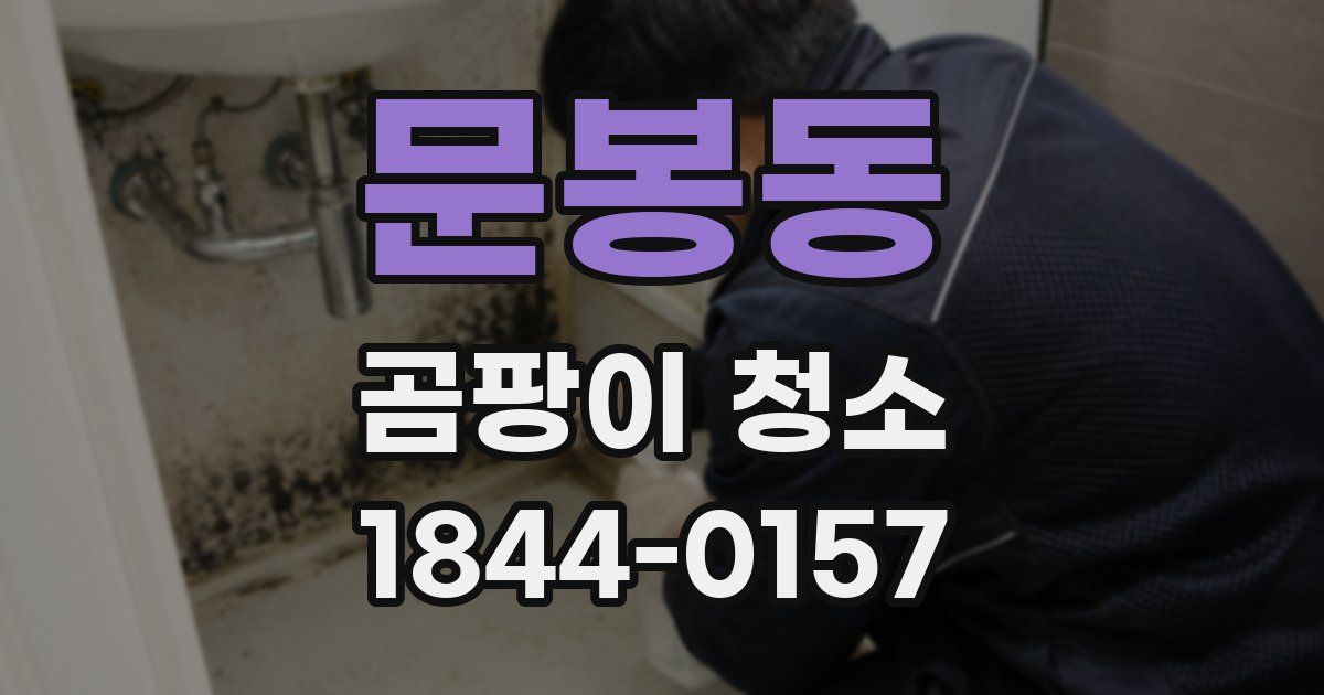문봉동 곰팡이 청소