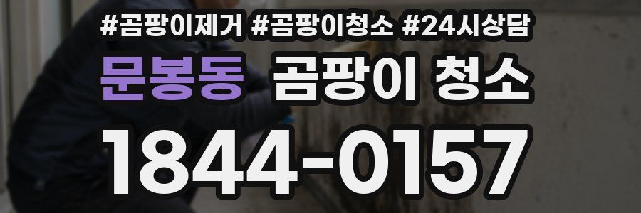 문봉동 곰팡이 청소
