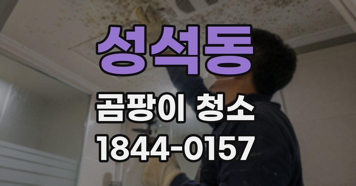 성석동 곰팡이 청소