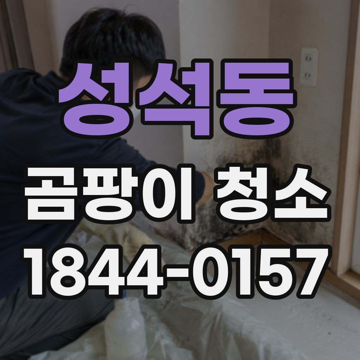 성석동 곰팡이 청소