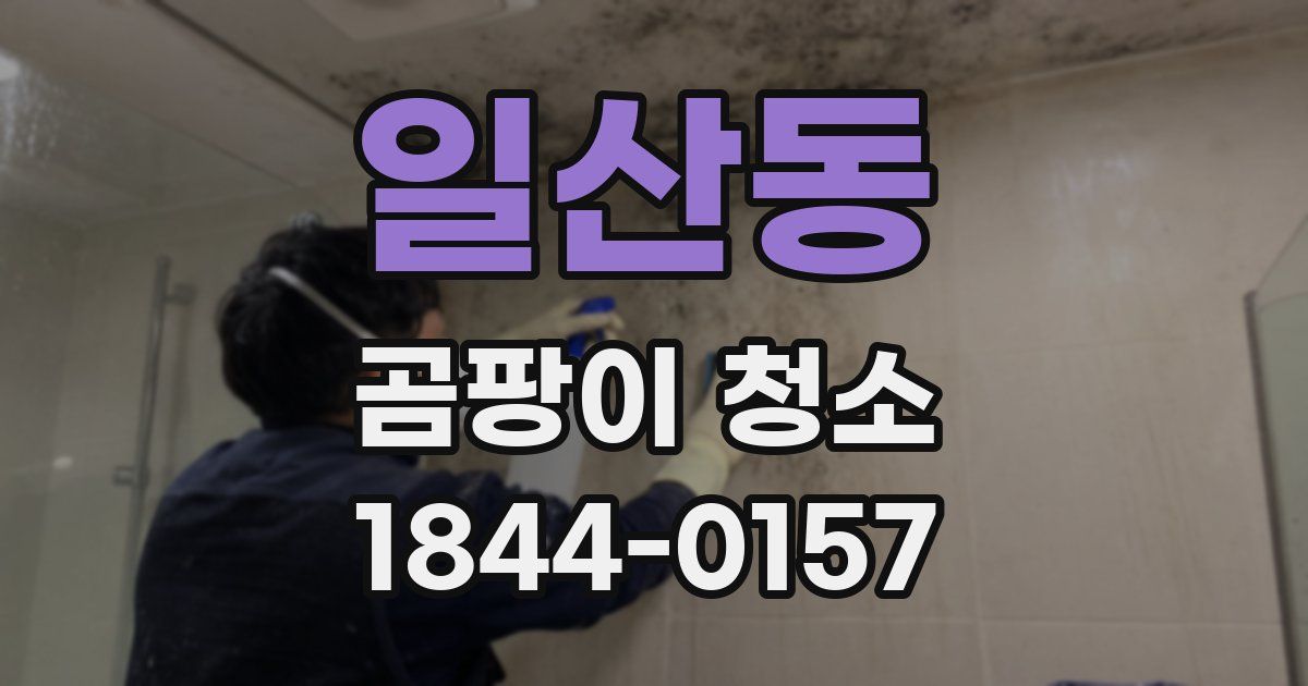 일산동 곰팡이 청소