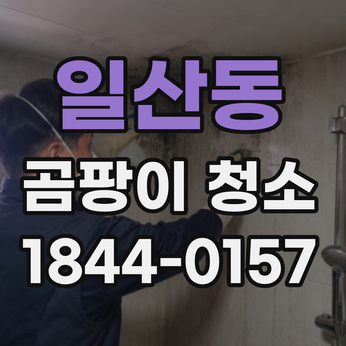 일산동 곰팡이 청소