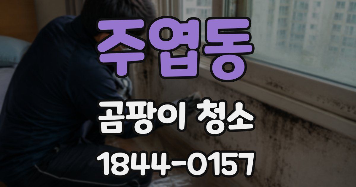 주엽동 곰팡이 청소