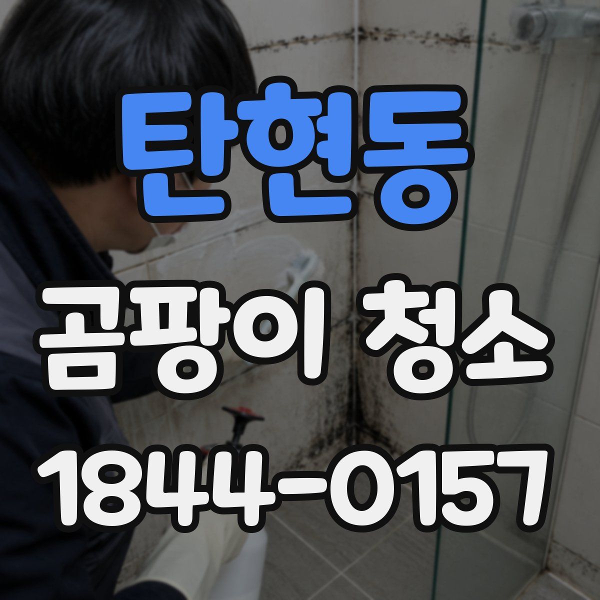 탄현동 곰팡이 청소