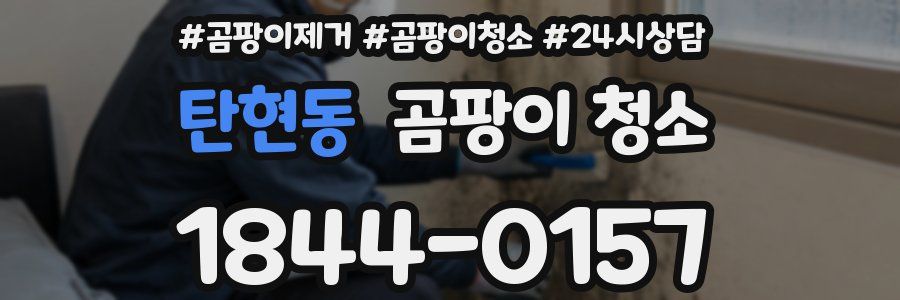 탄현동 곰팡이 청소