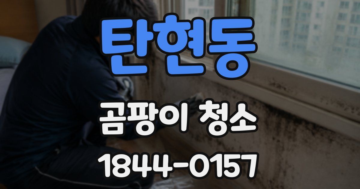 탄현동 곰팡이 청소