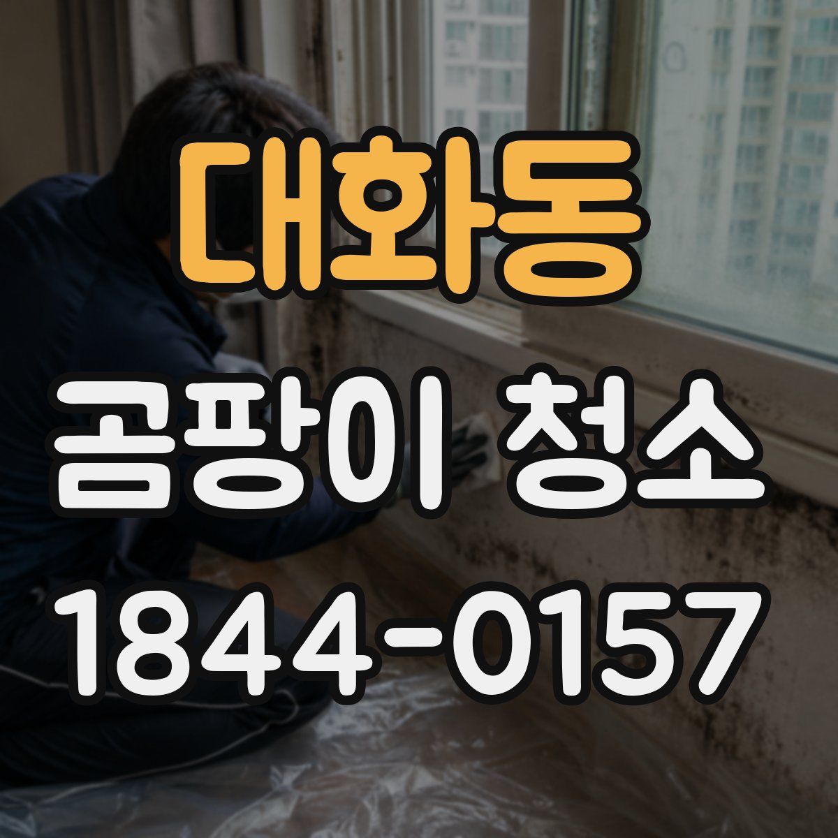 대화동 곰팡이 청소