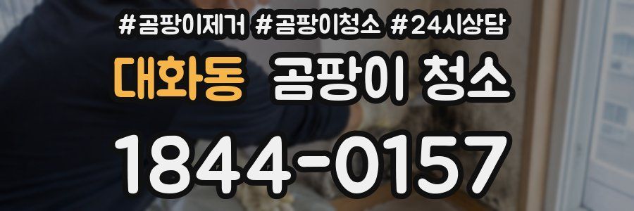 대화동 곰팡이 청소