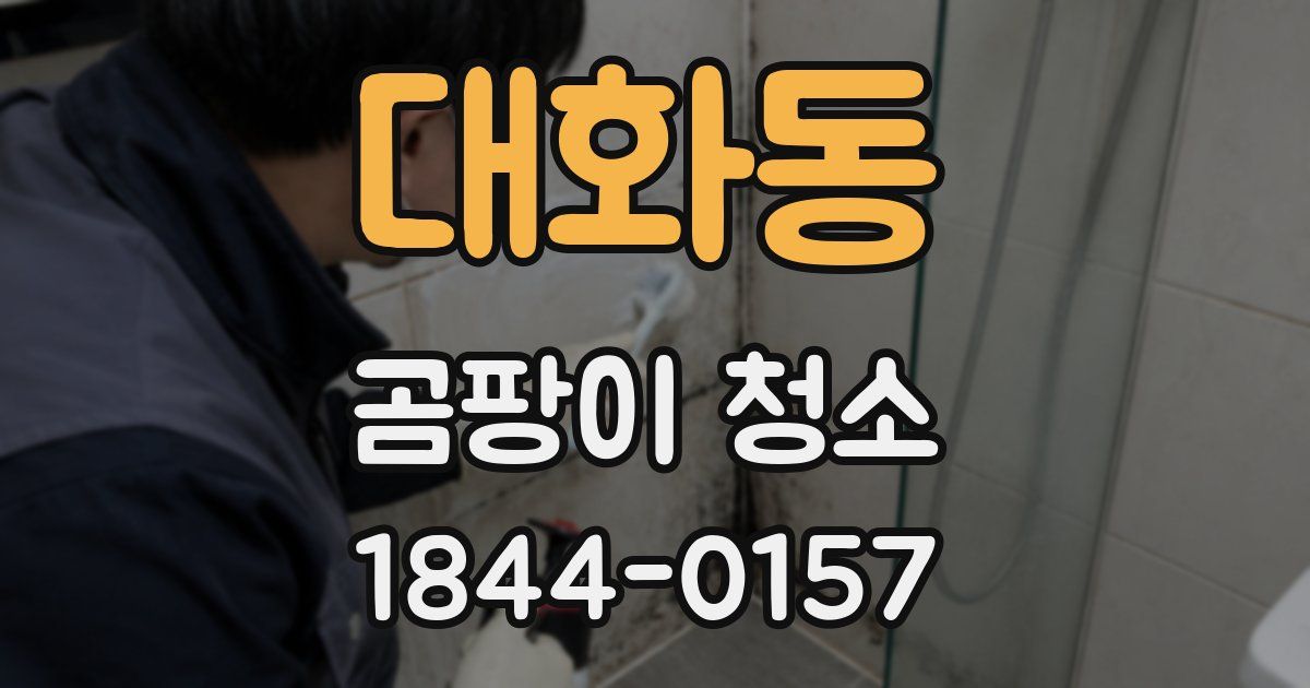 대화동 곰팡이 청소