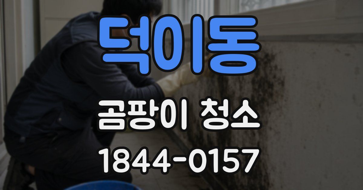 덕이동 곰팡이 청소