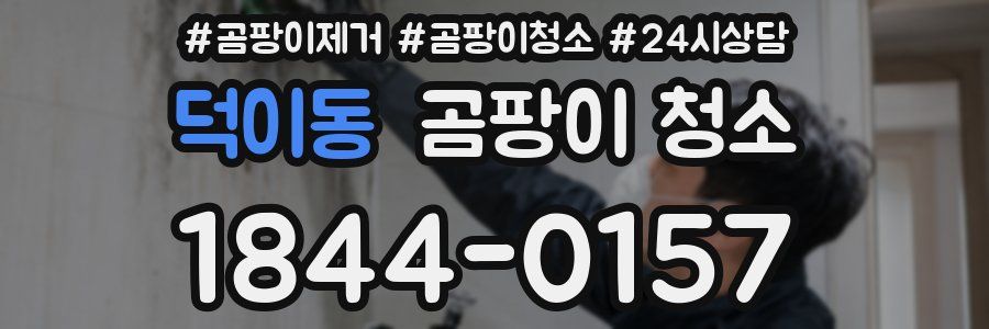덕이동 곰팡이 청소