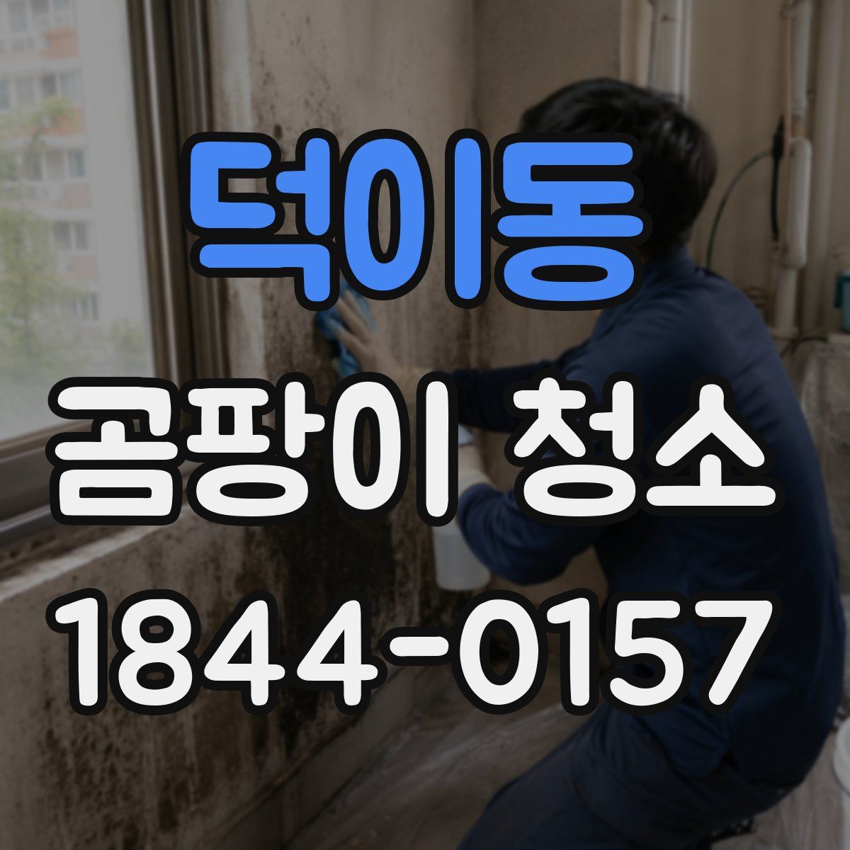 덕이동 곰팡이 청소