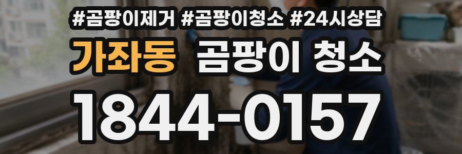 가좌동 곰팡이 청소