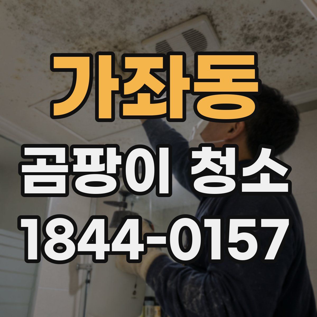 가좌동 곰팡이 청소