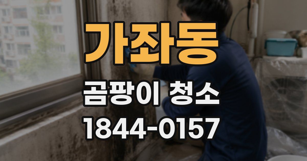 가좌동 곰팡이 청소