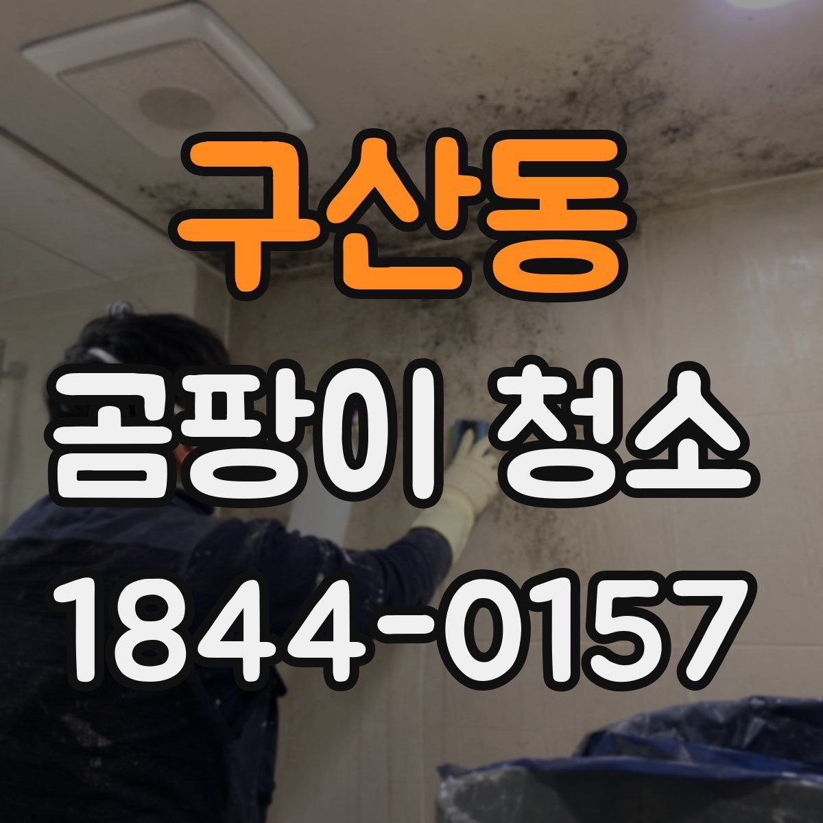 구산동 곰팡이 청소