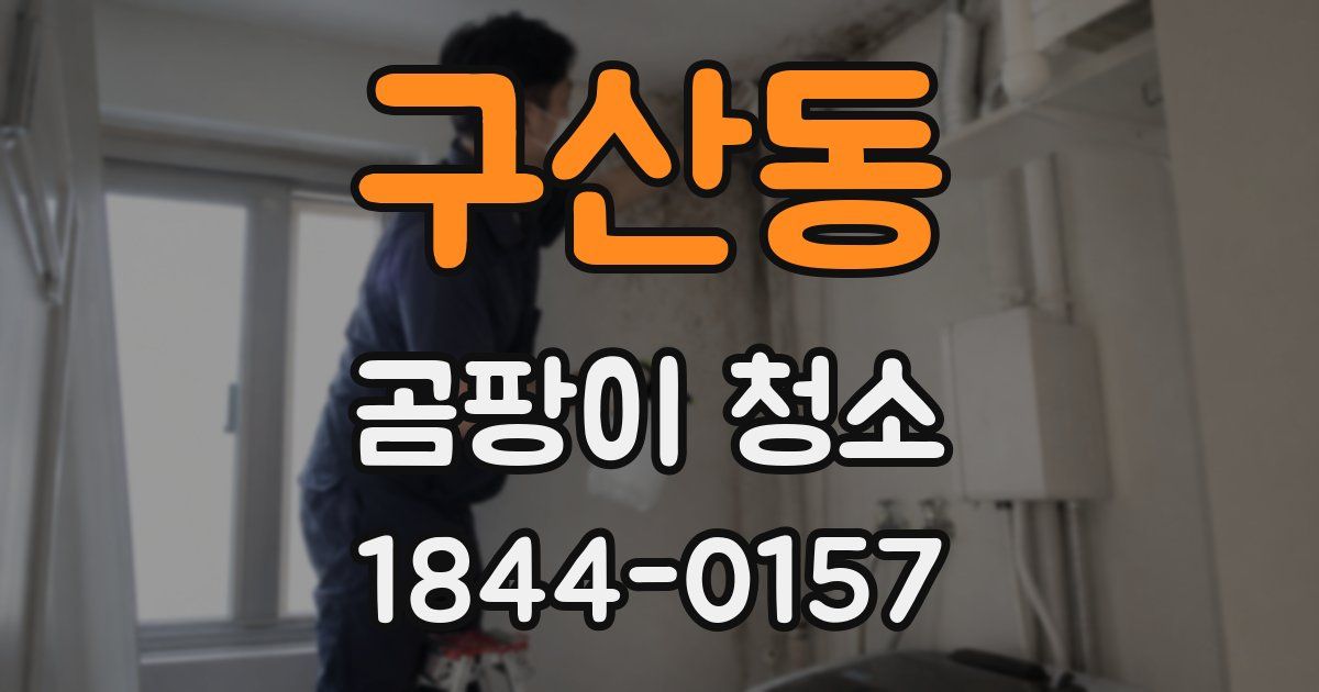구산동 곰팡이 청소