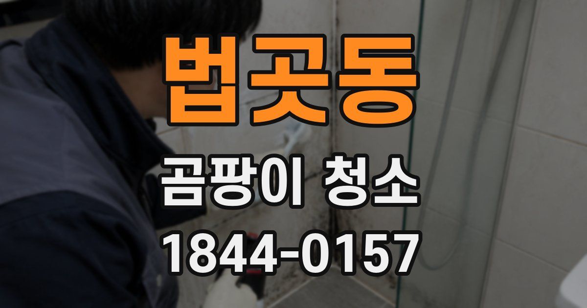 법곳동 곰팡이 청소