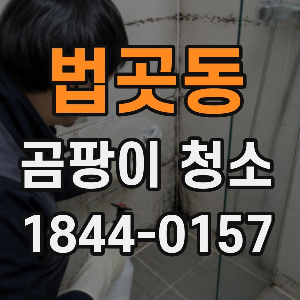 법곳동 곰팡이 청소