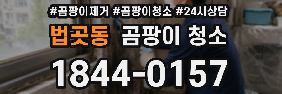 법곳동 곰팡이 청소