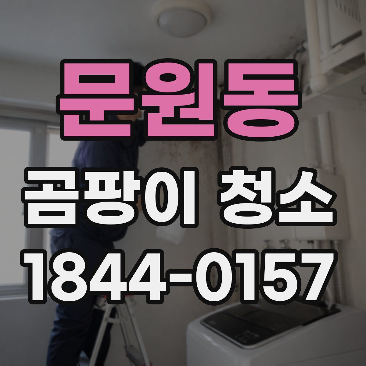 문원동 곰팡이 청소