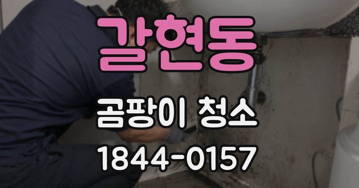 갈현동 곰팡이 청소