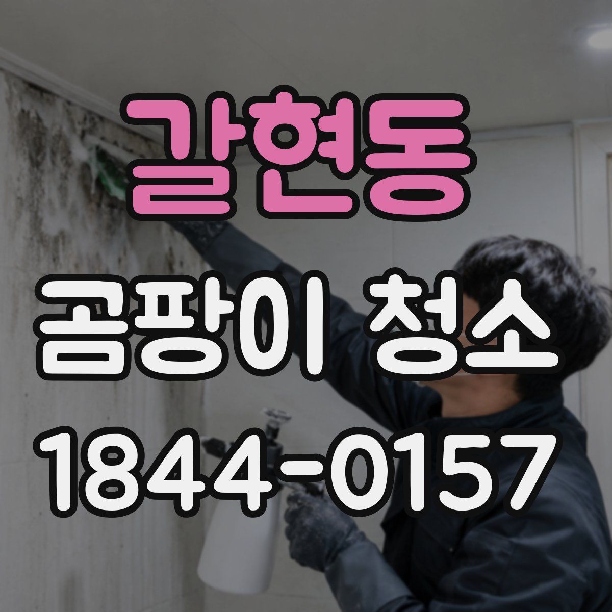 갈현동 곰팡이 청소