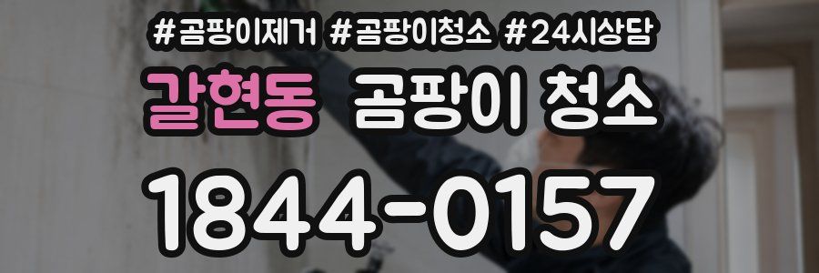 갈현동 곰팡이 청소