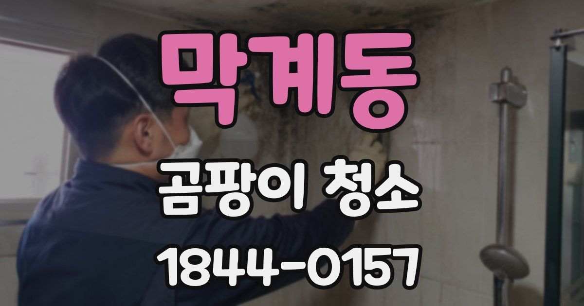 막계동 곰팡이 청소