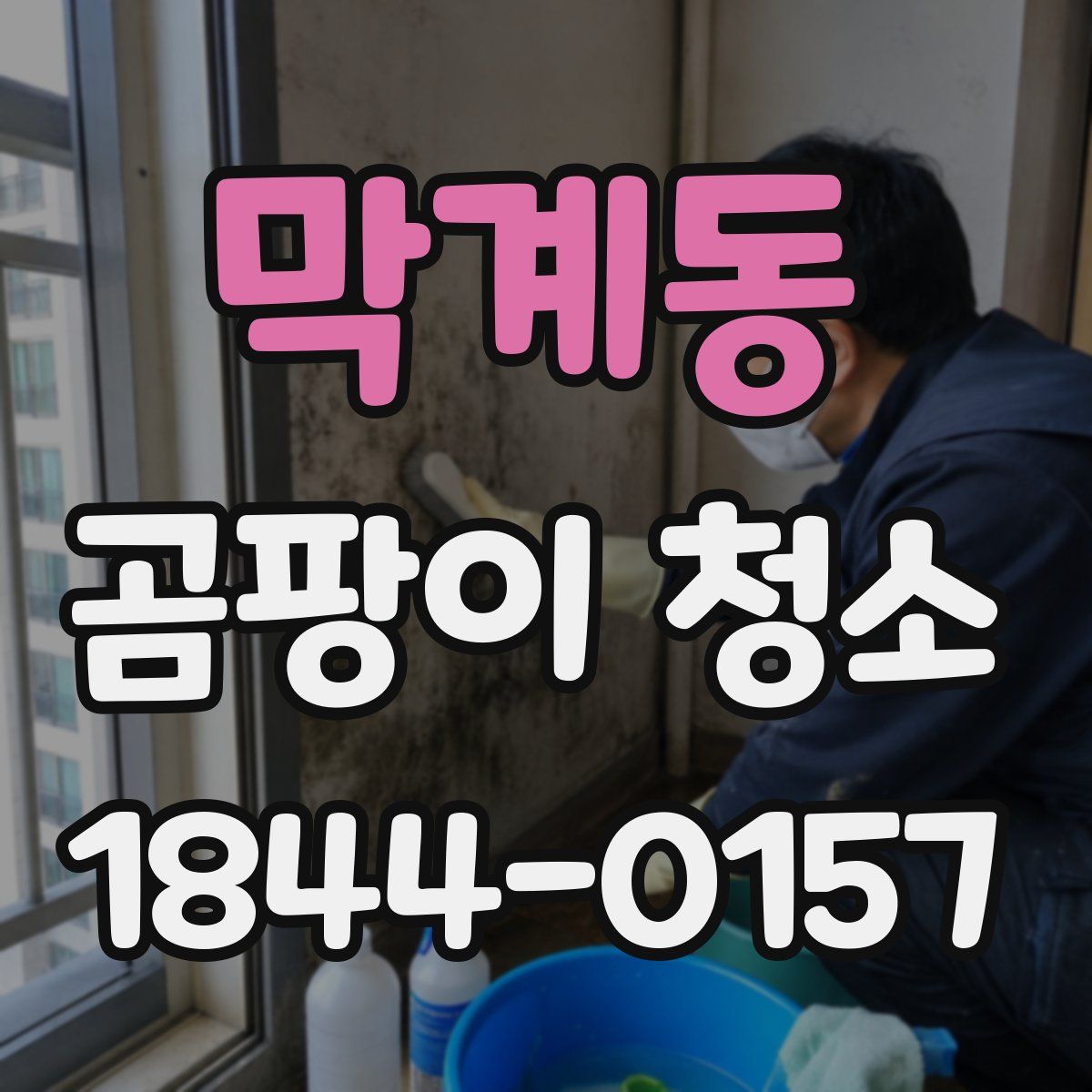 막계동 곰팡이 청소
