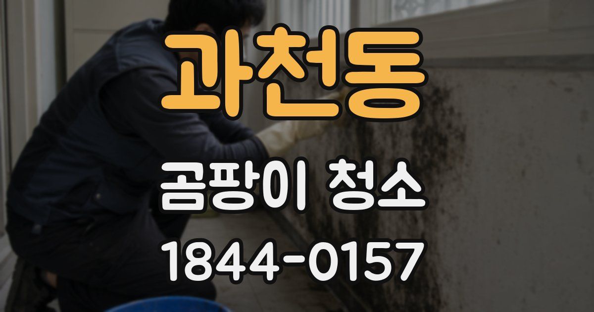 과천동 곰팡이 청소