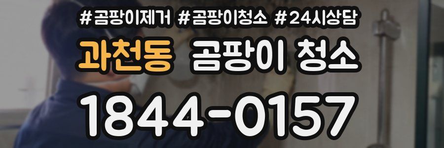 과천동 곰팡이 청소