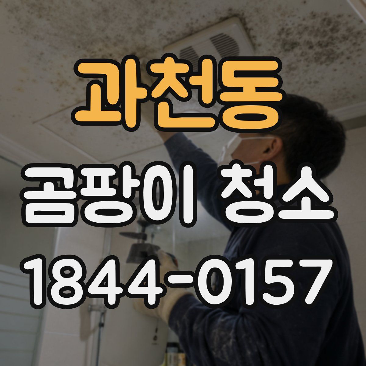 과천동 곰팡이 청소