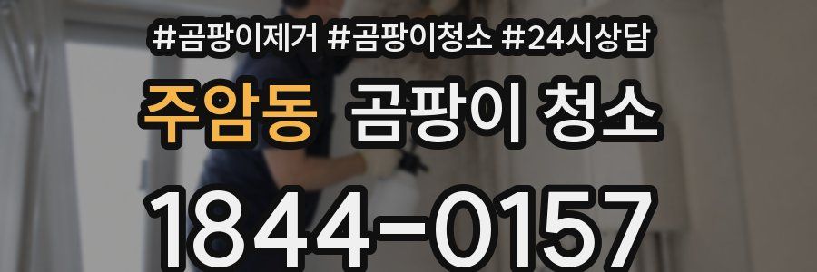 주암동 곰팡이 청소