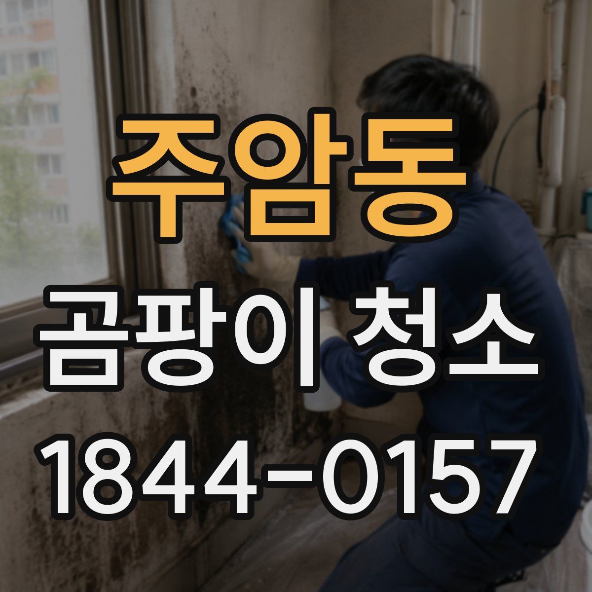 주암동 곰팡이 청소