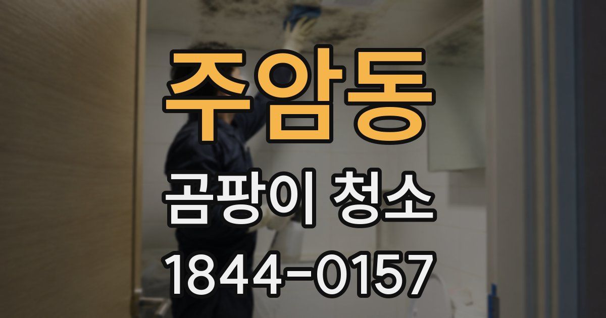 주암동 곰팡이 청소