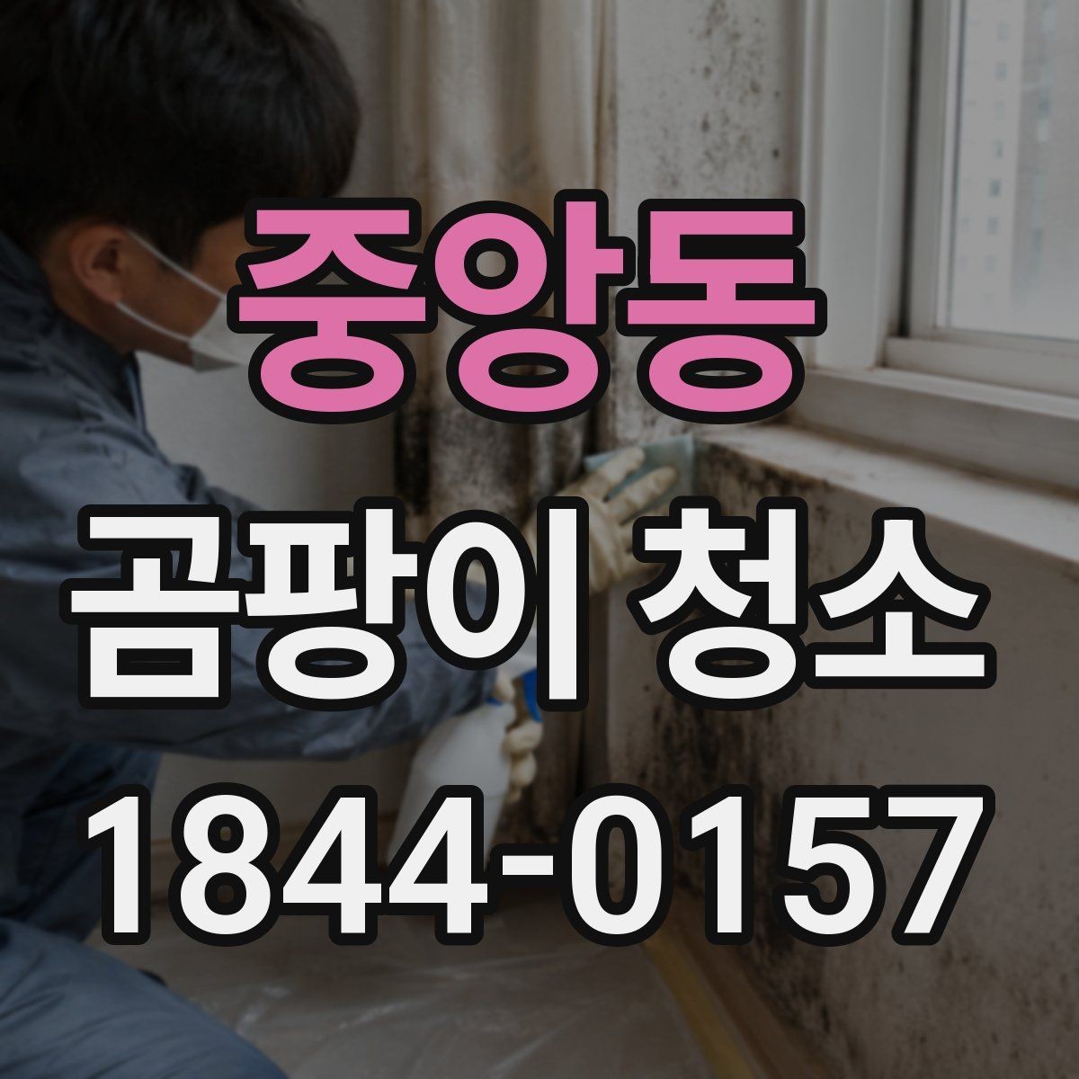 중앙동 곰팡이 청소 번짐이 의심될 때 닦기 전에 확인할 것들
