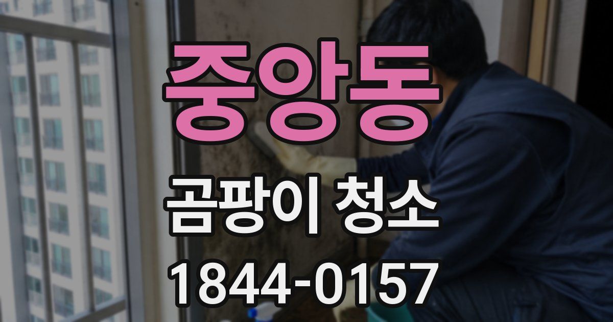 중앙동 곰팡이 청소