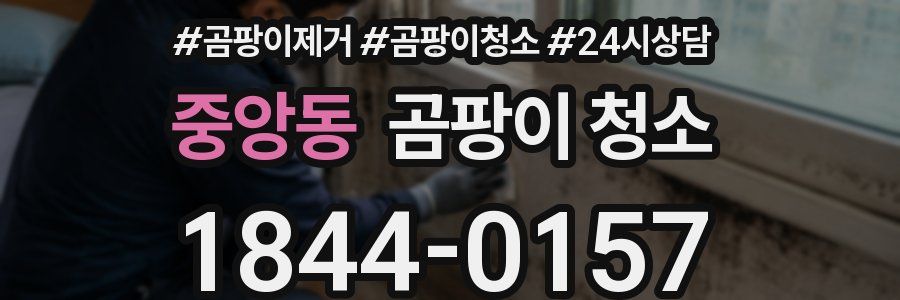 중앙동 곰팡이 청소