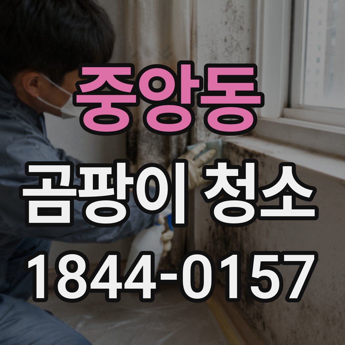 중앙동 곰팡이 청소