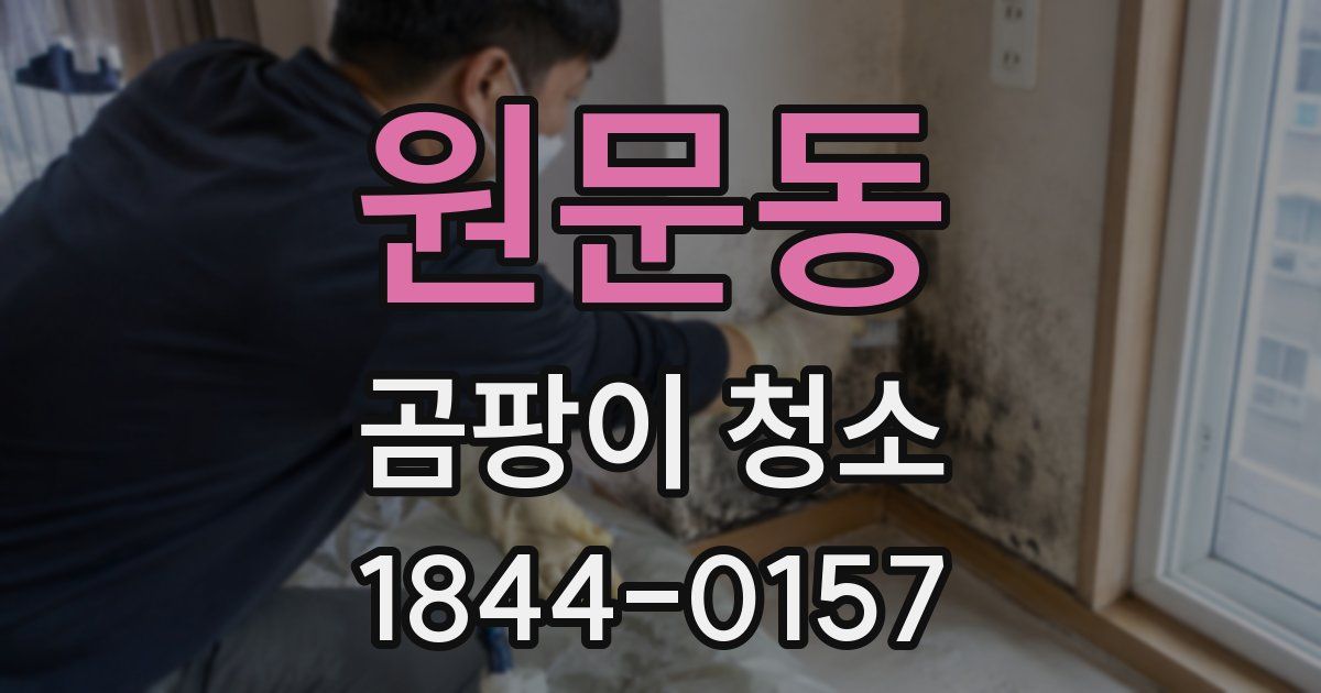 원문동 곰팡이 청소