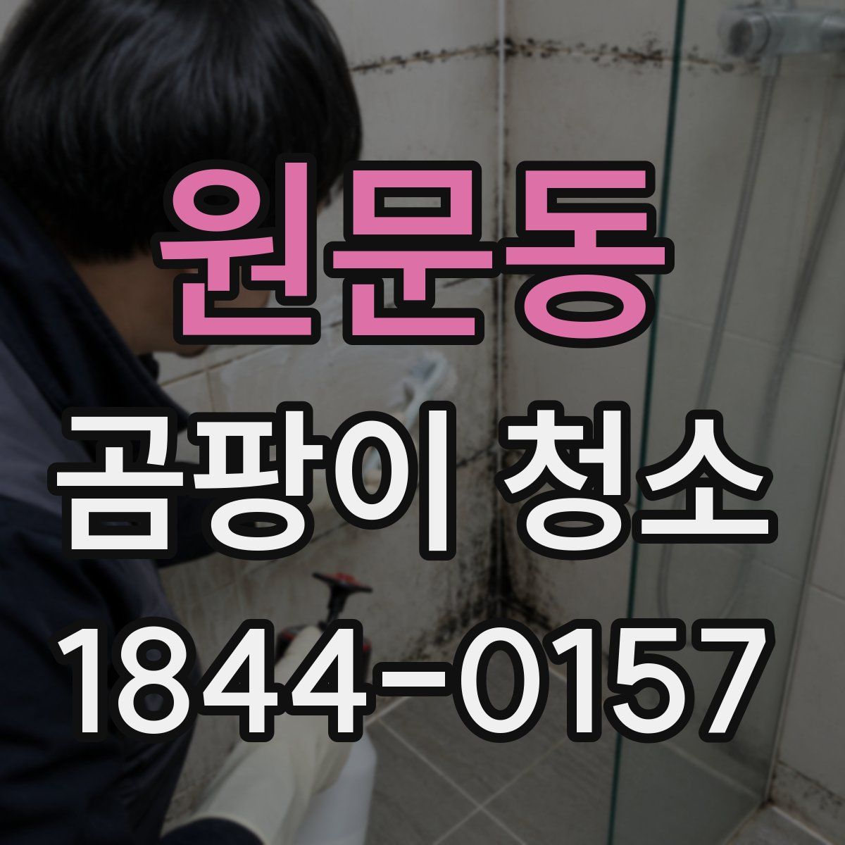 원문동 곰팡이 청소