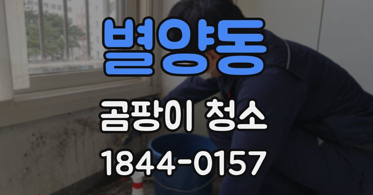 별양동 곰팡이 청소