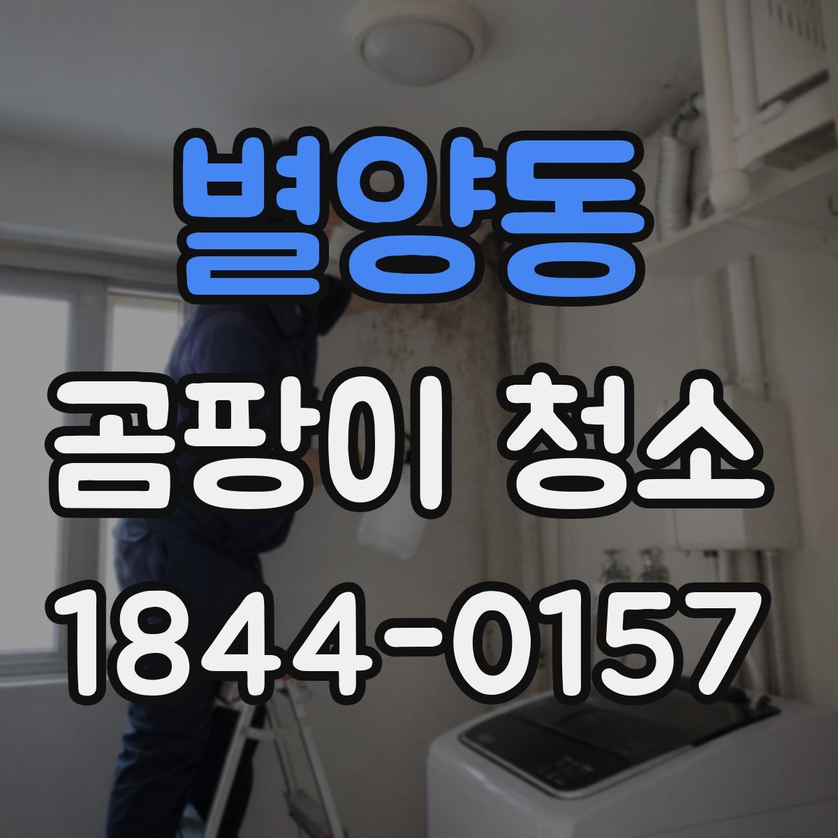 별양동 곰팡이 청소