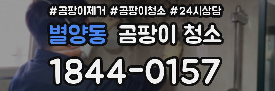 별양동 곰팡이 청소