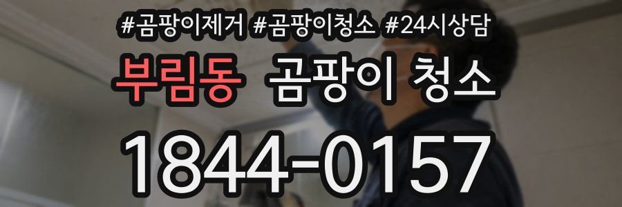 부림동 곰팡이 청소