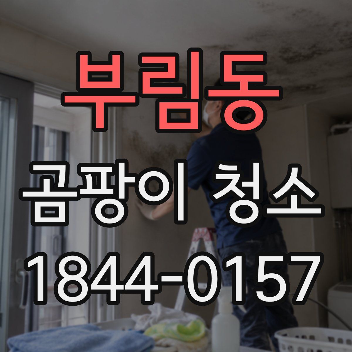 부림동 곰팡이 청소