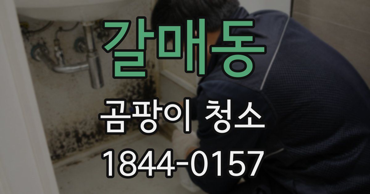 갈매동 곰팡이 청소