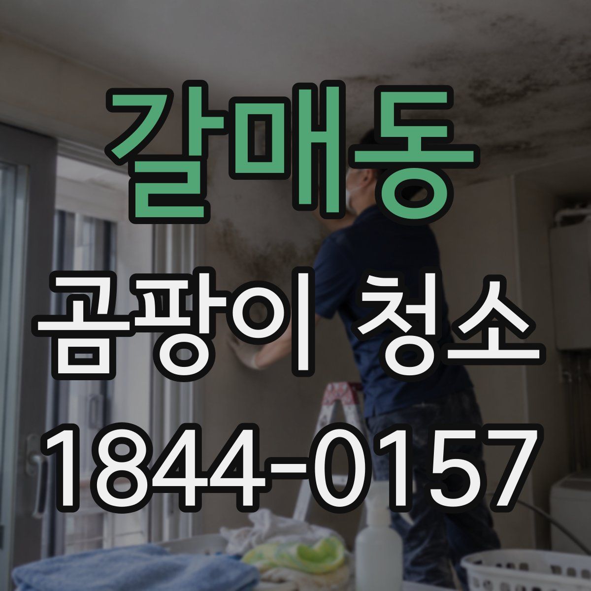 갈매동 곰팡이 청소